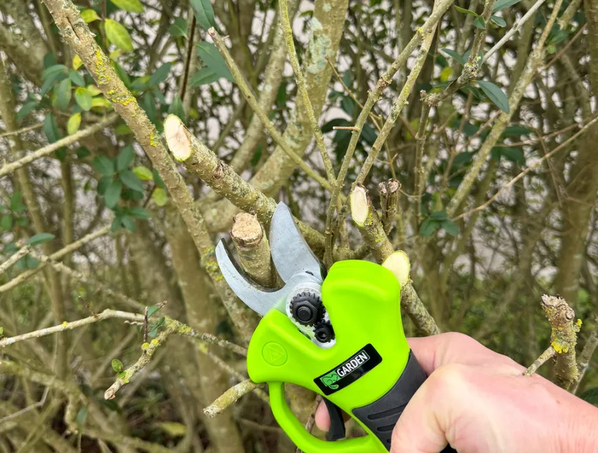 Beskæresaks akku 21 V 2,0 Ah - Garden®
