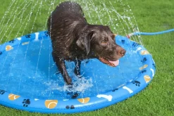 Bestway Fetchin' Fun plaskedug