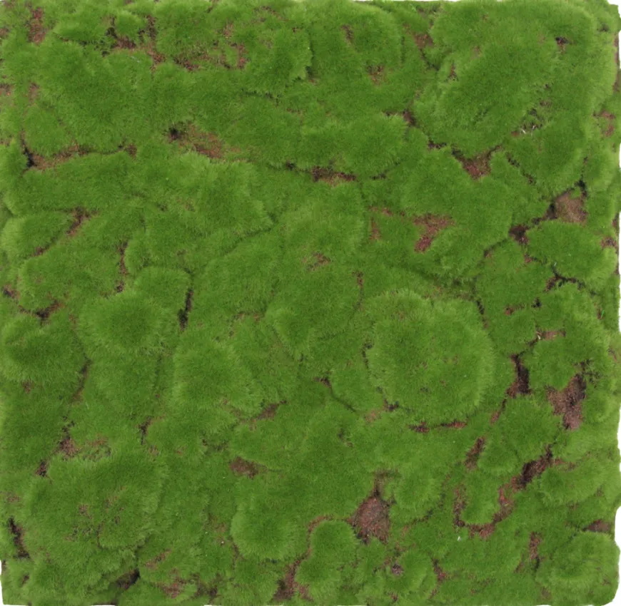 Jangal Modular Wall mospanel 52 x 52 cm - Forrest Green Bulk