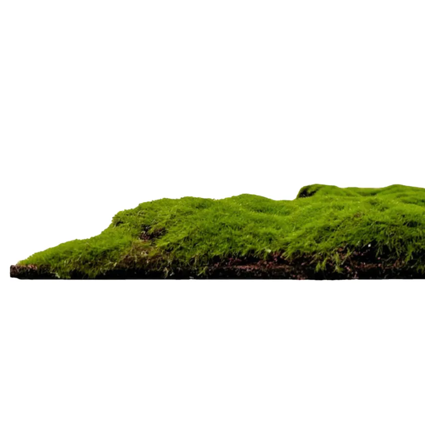 Jangal Modular Wall mospanel 52 x 52 cm - Forrest Green Bulk