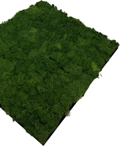 Jangal Modular Wall mospanel 52 x 52 cm - Dark Green