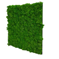 Jangal Modular Wall mospanel 52 x 52 cm - Rich Green