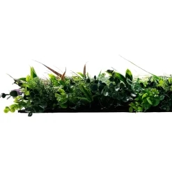 Jangal Modular Wall plantepanel 52 x 52 cm - Exotic Mix