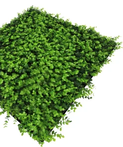 Jangal Modular Wall plantepanel 52 x 52 cm - Buxus