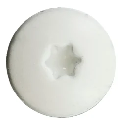 NKT Fasteners facadepladeskrue 4,5 x 40 mm 200 stk. - hvid