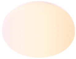Plafond Ø28 cm 18 W RGB wi-fi