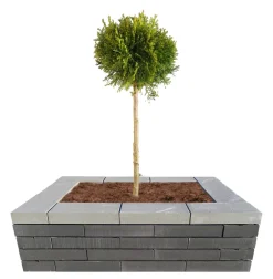 Topplade Nordic Wall koks